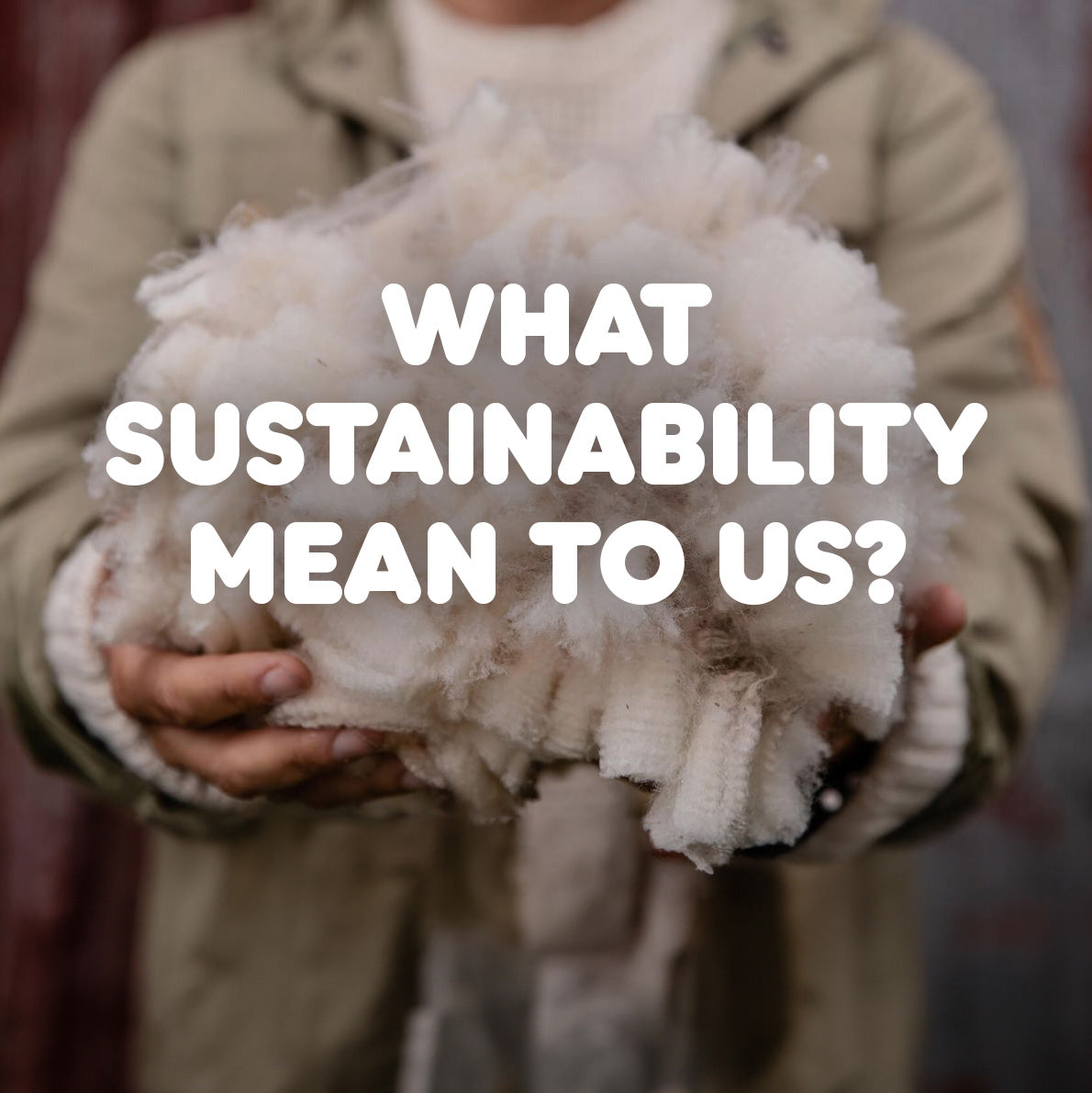 What sustainability mean to us?